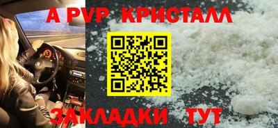 стафф Дубна