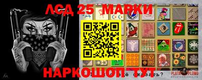 стафф Дубна