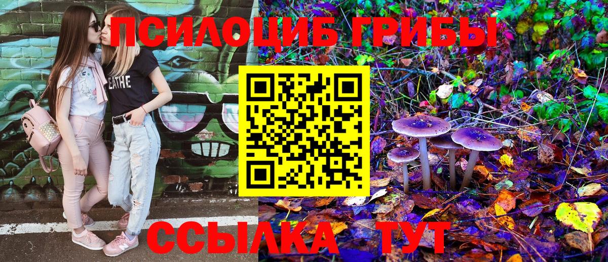 Галлюциногенные грибы Cubensis Кумертау